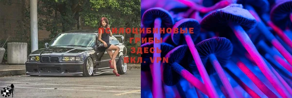 Альфа ПВП Армянск