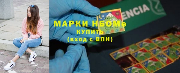 Альфа ПВП Аркадак