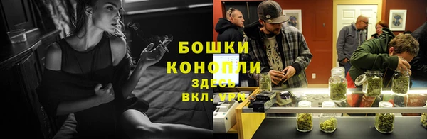 Альфа ПВП Аркадак