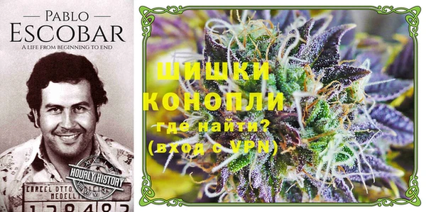 Альфа ПВП Аркадак
