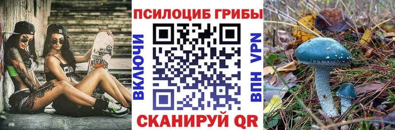 Псилоцибиновые грибы MAGIC MUSHROOMS  Шенкурск 